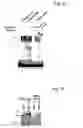 Fig. 08 - Regulation of hypoxia-inducible gene expression with antisense Inhibitory PAS domain protein