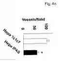Fig. 12 - Regulation of hypoxia-inducible gene expression with antisense Inhibitory PAS domain protein