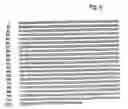 Fig. 18 - Regulation of hypoxia-inducible gene expression with antisense Inhibitory PAS domain protein