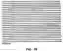 Fig. 03 - Thrombospondin-2 and uses thereof