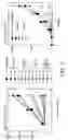 Fig. 05 - Thrombospondin-2 and uses thereof
