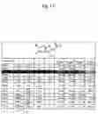 Fig. 02 - Therapeutic composition of treating abnormal splicing caused by the excessive kinase induction