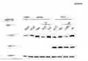 Fig. 10 - Compositions for treating or preventing obesity and insulin resistance disorders