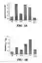 Fig. 04 - Methods for the treatment of cancer