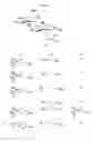 Fig. 05 - Aminoglycosides as antibiotics