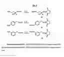 Fig. 09 - Aminoglycosides as antibiotics