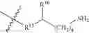 Fig. 26 - Aminoglycosides as antibiotics