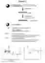 Fig. 02 - RNA interference mediated inhibition of cholesteryl ester transfer protein (CEPT) gene expression using short interfering nucleic acid (siNA)