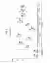 Fig. 07 - Methods and compositions for modulating mitochondrial aldehyde dehydrogenase-2