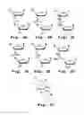 Fig. 04 - Oligonucleotide compound and method for treating nidovirus infections