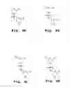 Fig. 05 - Oligonucleotide compound and method for treating nidovirus infections