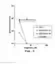 Fig. 06 - Oligonucleotide compound and method for treating nidovirus infections