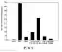 Fig. 09 - Immunostimulatory nucleic acid molecules
