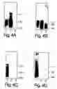 Fig. 05 - Methods and reagents for the treatment of multiple sclerosis