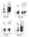 Fig. 07 - Methods and reagents for the treatment of multiple sclerosis