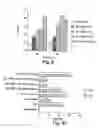 Fig. 12 - Methods and reagents for the treatment of multiple sclerosis
