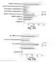 Fig. 13 - Methods and reagents for the treatment of multiple sclerosis