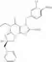 Fig. 07 - Polycyclic guanine derivative phosphodiesterase V inhibitors