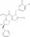 Fig. 22 - Polycyclic guanine derivative phosphodiesterase V inhibitors