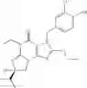 Fig. 24 - Polycyclic guanine derivative phosphodiesterase V inhibitors
