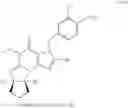 Fig. 61 - Polycyclic guanine derivative phosphodiesterase V inhibitors