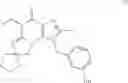 Fig. 91 - Polycyclic guanine derivative phosphodiesterase V inhibitors