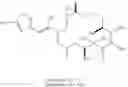 Fig. 02 - Process and formulation containing epothilones and analogs thereof
