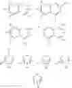 Fig. 06 - 2-furancarboxylic acid hydrazides and pharmaceutical compositions containing the same