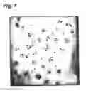 Fig. 04 - Crosslinked polymers, fine polymer particle, and process for producing these