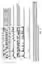 Fig. 06 - Soluble interleukin-1 receptor accessory molecule