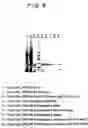 Fig. 07 - Expression of lipoproteins
