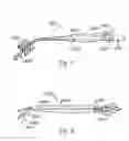 Fig. 06 - Light delivery systems and applications thereof