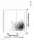 Fig. 16 - Automated method and system for the detection of lung nodules in low-dose CT images for lung-cancer screening