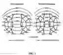 Fig. 02 - Methods for imaging the lymphatic system using dendrimer-based contrast agents