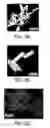 Fig. 04 - Multi-functional plasmon-resonant contrast agents for optical coherence tomography