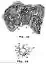 Fig. 06 - Apparatus and method for delivering therapeutic and diagnostic agents
