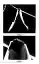 Fig. 07 - Method and/or apparatus for puncturing a surface for extraction, in situ analysis, and/or substance delivery using microneedles