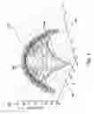 Fig. 09 - Corneal topography-based target warping system