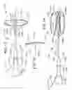 Fig. 09 - Apparatus for mapping and coagulating soft tissue in or around body orifices