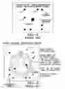 Fig. 03 - Stereotactic apparatus and methods