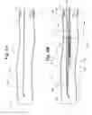 Fig. 05 - Vascular embolic filter exchange devices and methods of use thereof