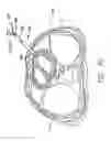 Fig. 26 - Cardiac harness and method of delivery by minimally invasive access