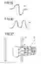 Fig. 09 - Aorta and branch vessel stent grafts and method