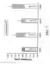 Fig. 06 - Peritoneal regeneration with acellular pericardial patch