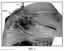 Fig. 07 - Real time earth model for collaborative geosteering