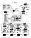 Fig. 09 - Network models of complex systems