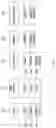 Fig. 06 - Event processing engine
