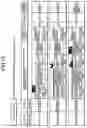Fig. 16 - Concentrated physical distribution system for cargo, and method therefor