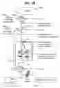 Fig. 07 - Electronic payment clearing and check image exchange systems and methods