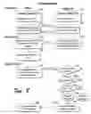 Fig. 08 - System and method for flexible micropayment of low value electronic assets